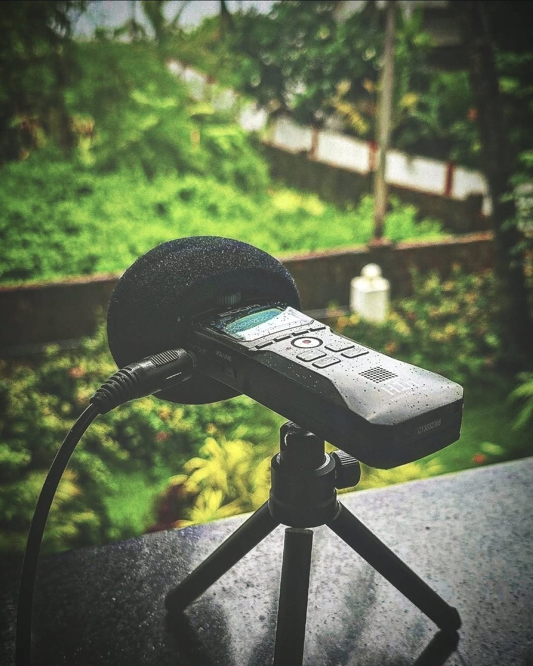 Zoom field recorder on a tripod amid greenery